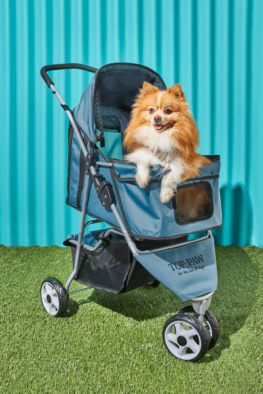 A picture of a dog in a stroller