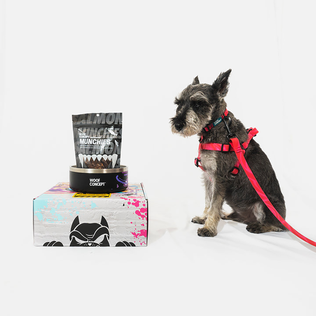 Woof Concepts dog accessories set